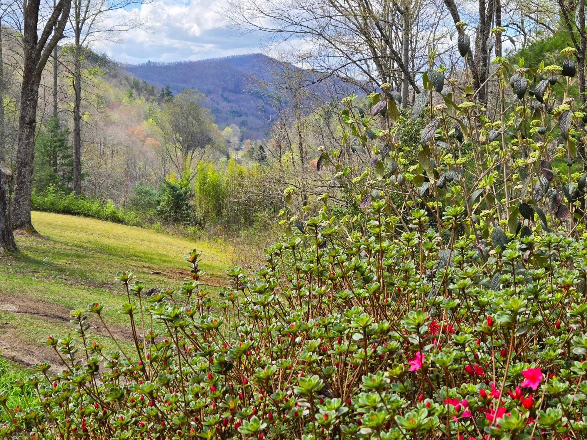 Bryson City Creekside Home With Hot Tub- 3 Bedroom-2 Bath Home Exterior photo